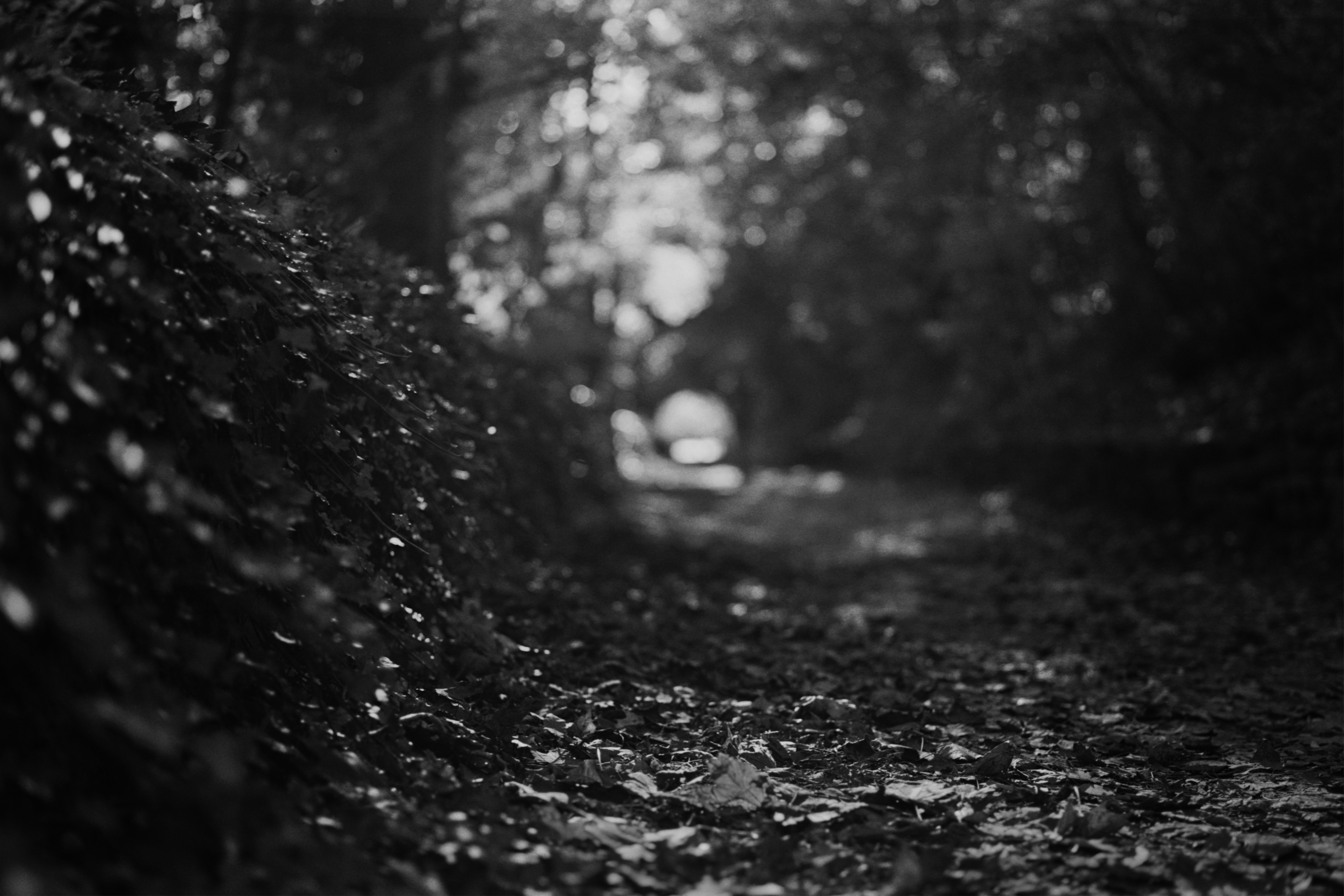 Black and white abstract background